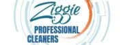 Professional Cleaners